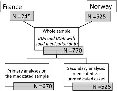 Preventive Medication Patterns in Bipolar Disorder and Their Relationship With Comorbid Substance Use Disorders in a Cross-National Observational Study